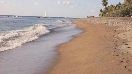 Quels sont les bons plans pour un weekend inoubliable à Sainte-Marie de la Martinique ?