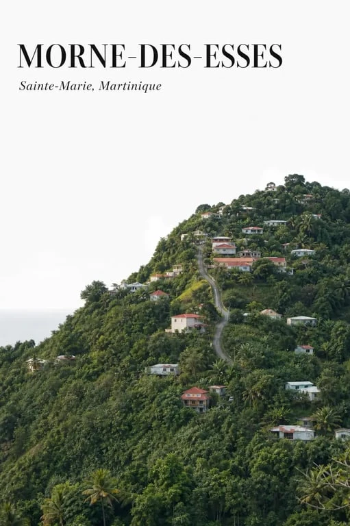 Le Morne-des-Esses, Sainte-Marie Martinique, vu depuis les hauteurs avec route sinueuse et végétation tropicale