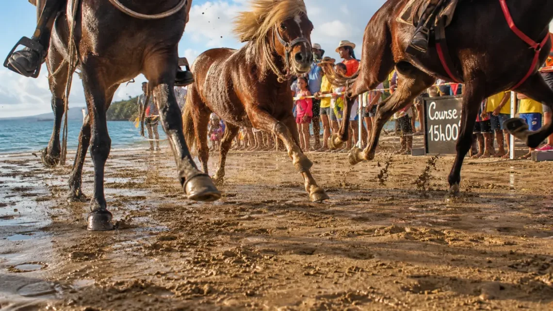 Course de chevaux à Sainte-Marie en Martinique : plage du bourg, 15h00 et programme par catégories
