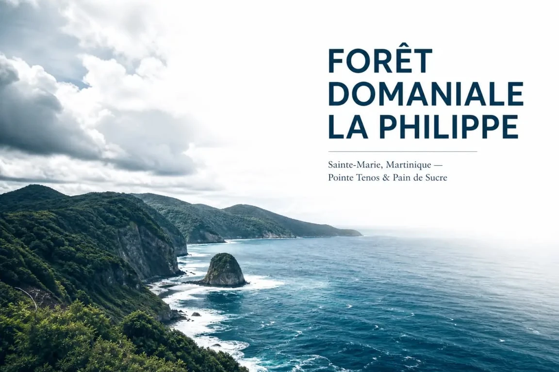 Forêt domaniale La Philippe à Sainte-Marie en Martinique, point de vue vers la Pointe Tenos et le Pain de Sucre